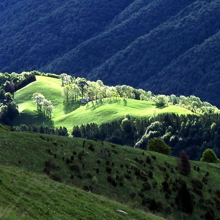 B&B Casa Francesca Alano di Piave Kültér fotó