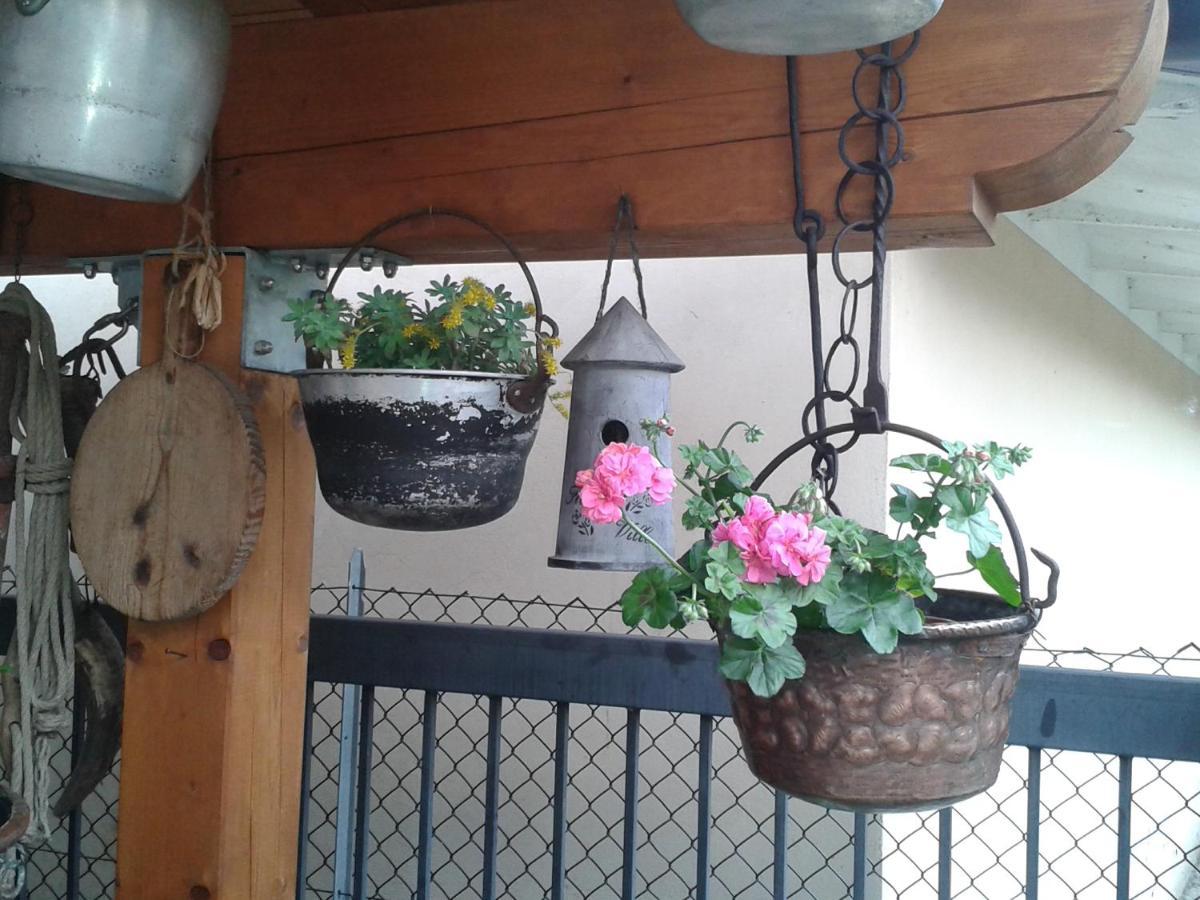 B&B Casa Francesca Alano di Piave Kültér fotó