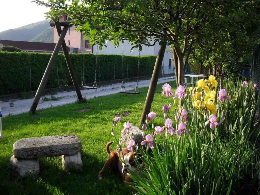 B&B Casa Francesca Alano di Piave Kültér fotó